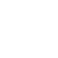Holic